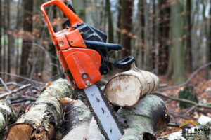 Top 10 Best Chainsaw for Alaskan Mill of 2023: Power and Precision